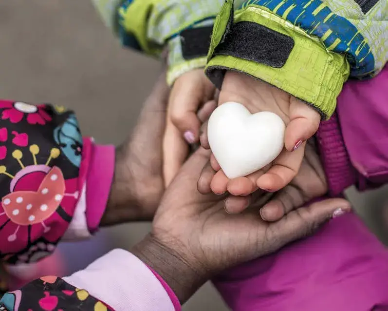 Cometa - Accoglienza 7