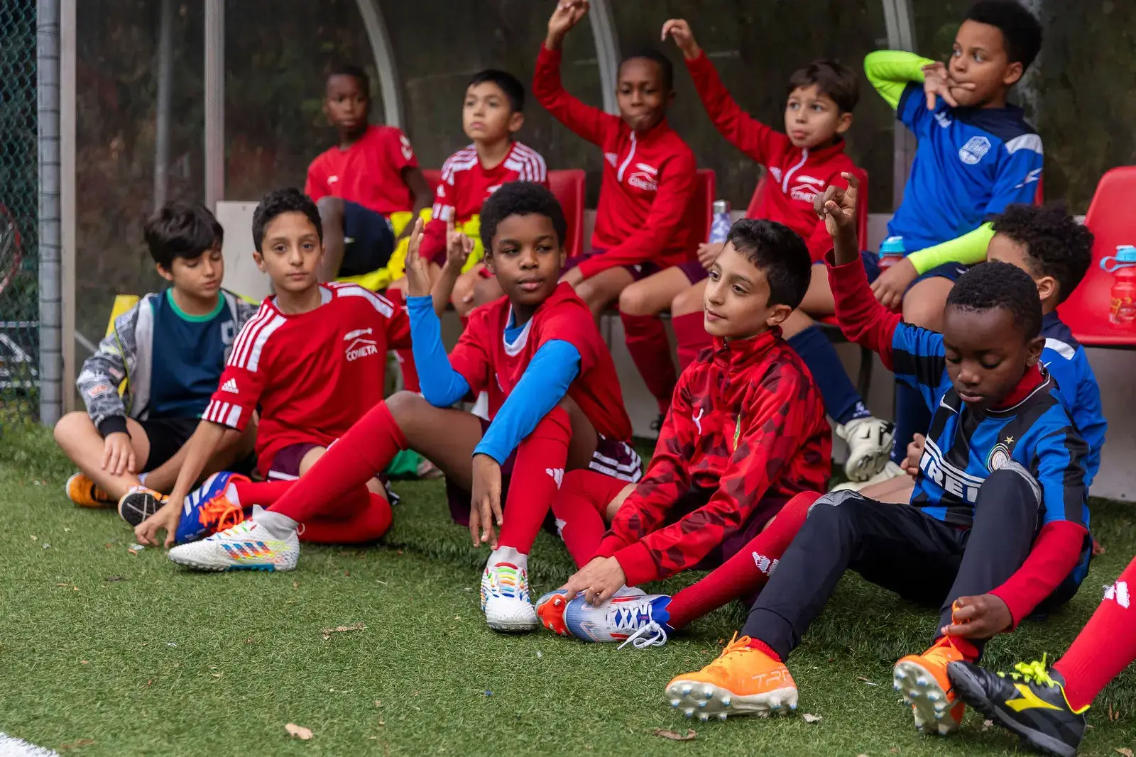 Cometa - Educazione 5